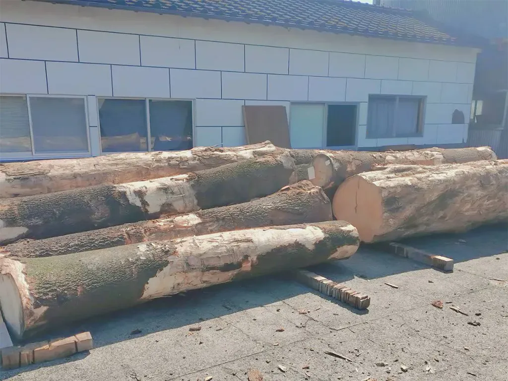 仕入れた榧の原木のイメージ